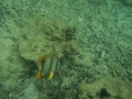 DSCN4016